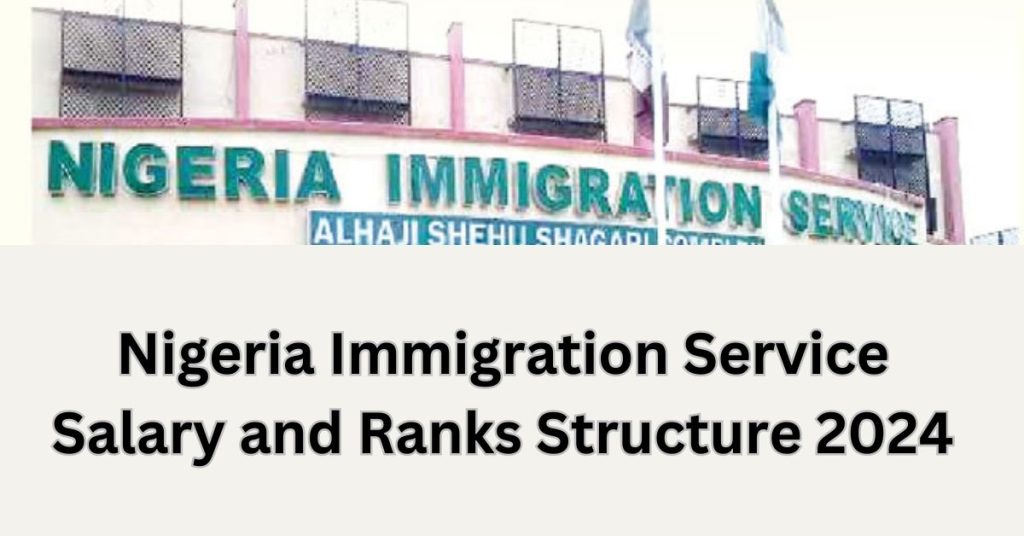 Nigeria Immigration Service Salary and Ranks Structure 2024