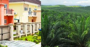 top 10 best business opportunities in Benin City, Edo State, Nigeria.