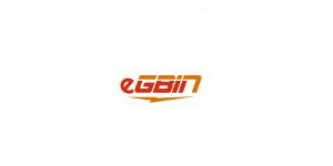 Reliability & Engineering Performance Engineer at Egbin Power PLC