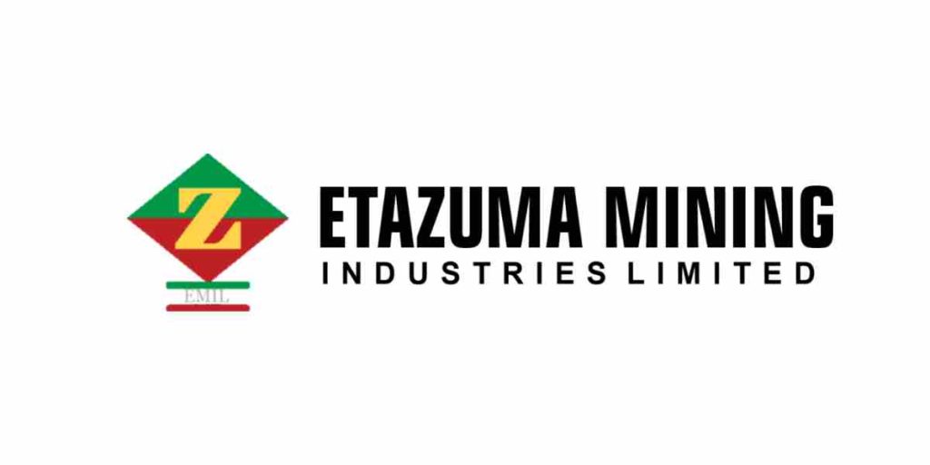 Internal Control Officer at Eta-zuma: How to Apply