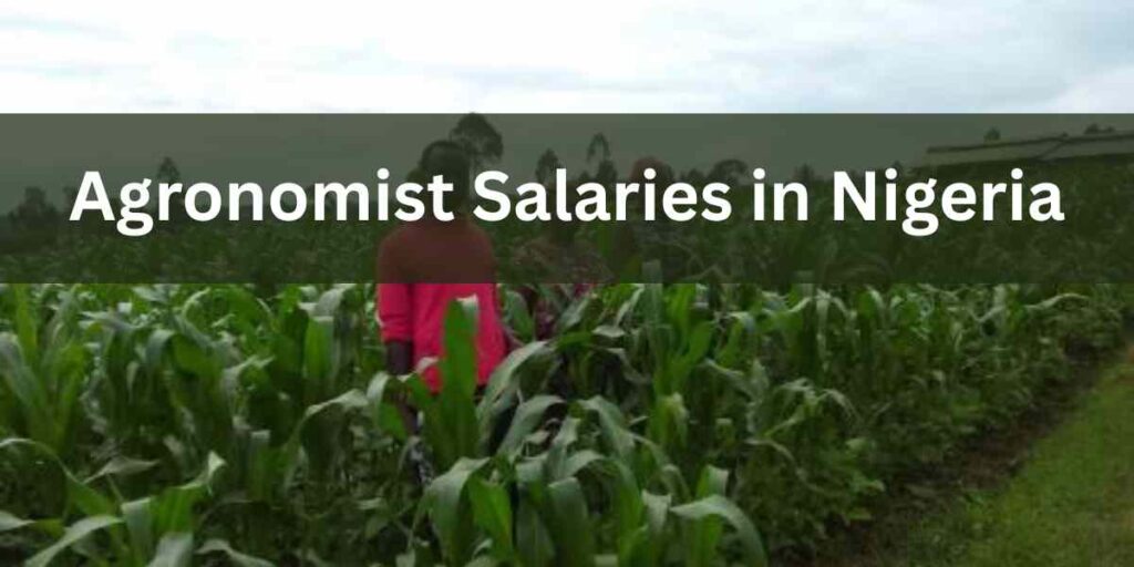 Agronomist Salaries in Nigeria