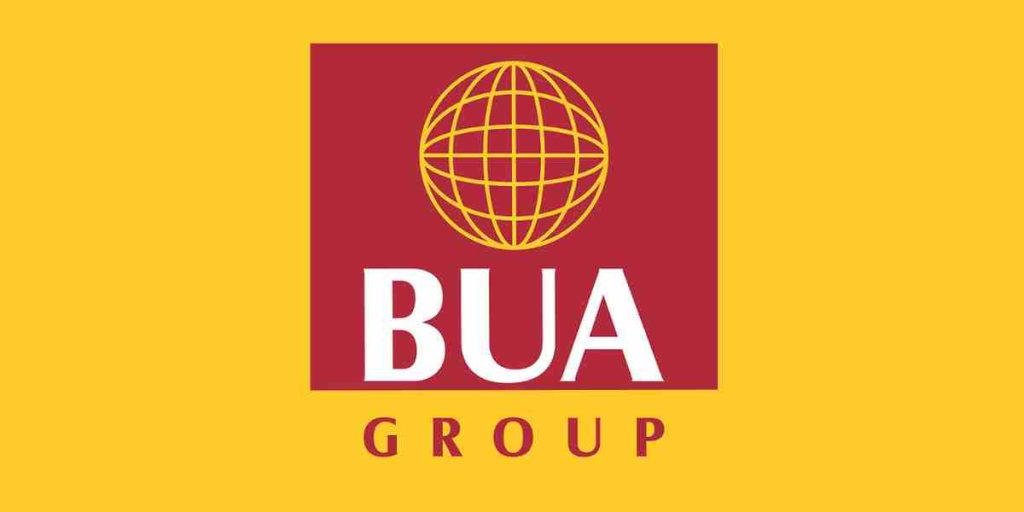 Website and Automation Developer at BUA Group