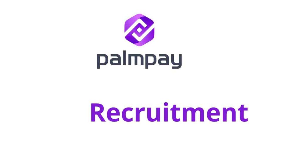 BI & Data Operations Specialist – Mobile Installment (BNPL) at Palmpay