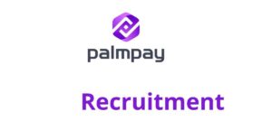 BI & Data Operations Specialist – Mobile Installment (BNPL) at Palmpay