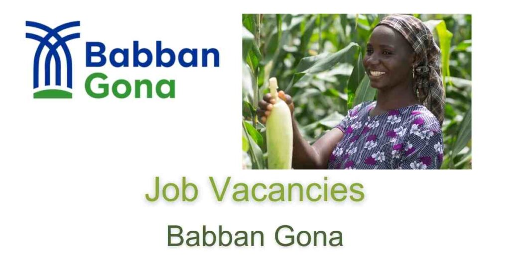 Babban Gona